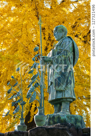 Kobo Daishi monk statue by Ginkgo leaf, Shitennoji Temple, Osaka 127321496