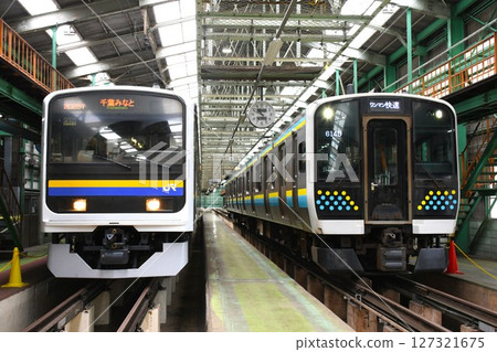 209 series (C409 train) and E131 series (R12 train) lined up at a train depot 127321675