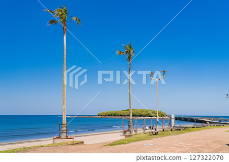 《Miyazaki Prefecture》Tropical beach of Aoshima 127322070