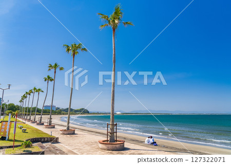 《Miyazaki Prefecture》Tropical beach of Aoshima 127322071