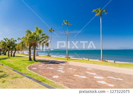 《Miyazaki Prefecture》Tropical beach of Aoshima 127322075