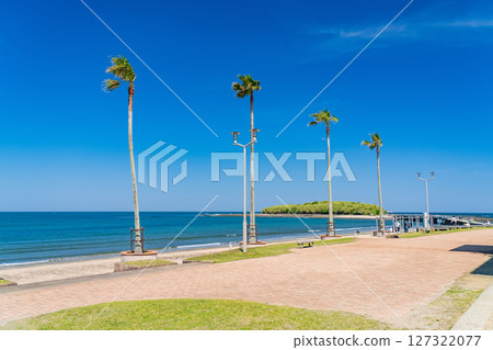 《Miyazaki Prefecture》Tropical beach of Aoshima 127322077