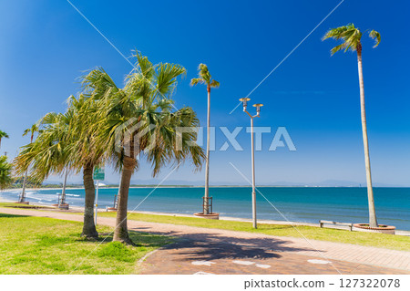 《Miyazaki Prefecture》Tropical beach of Aoshima 127322078