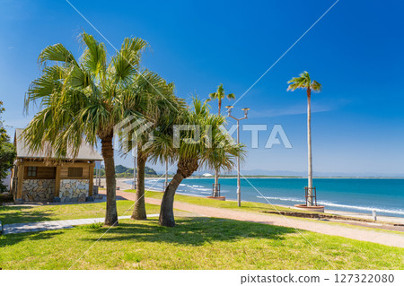 《Miyazaki Prefecture》Tropical beach of Aoshima 《Miyazaki Prefecture》Tropical beach of Aoshima 127322080