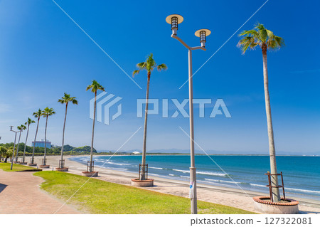 《Miyazaki Prefecture》Tropical beach of Aoshima 《Miyazaki Prefecture》Tropical beach of Aoshima 127322081