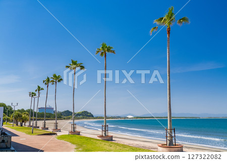 《Miyazaki Prefecture》Tropical beach of Aoshima 127322082