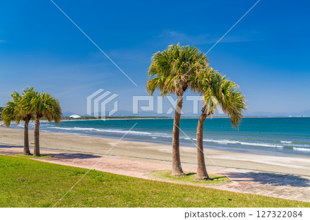 《Miyazaki Prefecture》Tropical beach of Aoshima 127322084