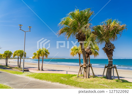 《Miyazaki Prefecture》Tropical beach of Aoshima 127322092