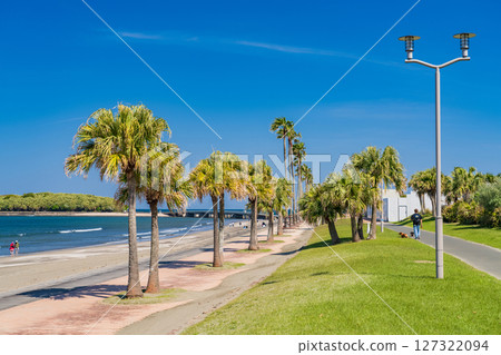 《宮崎縣》青島的熱帶海灘 127322094