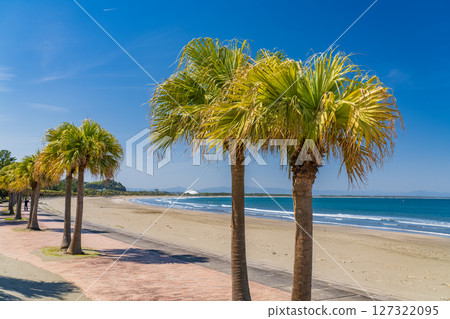 《Miyazaki Prefecture》Tropical beach of Aoshima 127322095