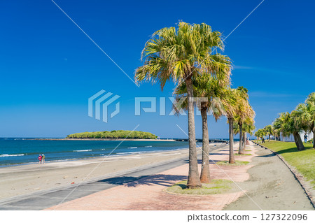 《宮崎縣》青島的熱帶海灘 《宮崎縣》青島的熱帶海灘 127322096