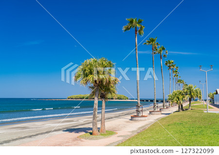 《宮崎縣》青島的熱帶海灘 《宮崎縣》青島的熱帶海灘 127322099