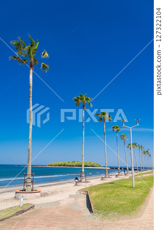 《宮崎縣》青島的熱帶海灘 《宮崎縣》青島的熱帶海灘 127322104