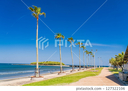 《宮崎縣》青島的熱帶海灘 127322106