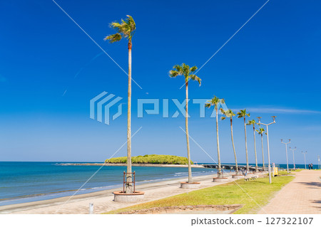 《Miyazaki Prefecture》Tropical beach of Aoshima 《Miyazaki Prefecture》Tropical beach of Aoshima 127322107