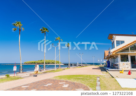 《Miyazaki Prefecture》Tropical beach of Aoshima 127322108