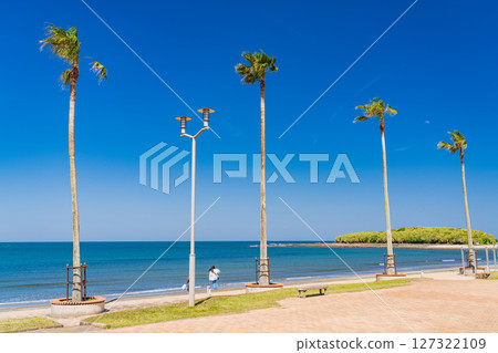 《Miyazaki Prefecture》Tropical beach of Aoshima 《Miyazaki Prefecture》Tropical beach of Aoshima 127322109