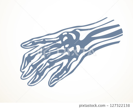 Vector drawing. Bones of the hand 127322138
