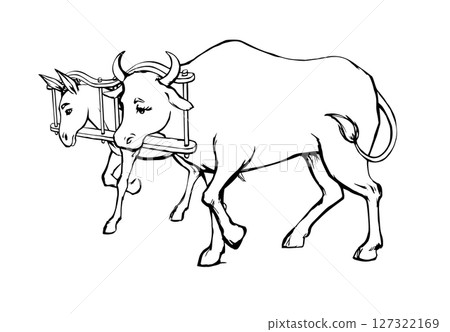 Vector drawing. Ox and donkey in one harness 127322169