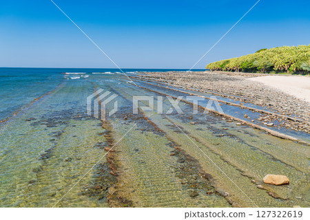 Miyazaki Prefecture: Scenery of Aoshima - Devil's Washboard 127322619