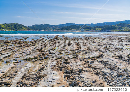 Miyazaki Prefecture: Scenery of Aoshima - Devil's Washboard Miyazaki Prefecture: Scenery of Aoshima - Devil's Washboard 127322630