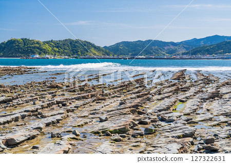 Miyazaki Prefecture: Scenery of Aoshima - Devil's Washboard 127322631