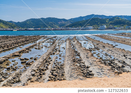 Miyazaki Prefecture: Scenery of Aoshima - Devil's Washboard 127322633