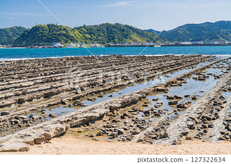 Miyazaki Prefecture: Scenery of Aoshima - Devil's Washboard Miyazaki Prefecture: Scenery of Aoshima - Devil's Washboard 127322634