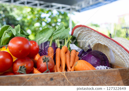 A variety of colorful vegetables such as tomatoes, carrots, bell peppers, and cabbage are arranged in wooden box 127322649