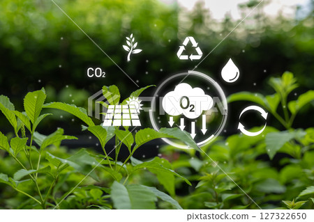 Carbon dioxide or CO2 is colorless gas. which inhaling this gas in large quantities. Leaf absorb dust and carbon dioxide. management clean air global. Leaves with cloud co2 icon. 127322650
