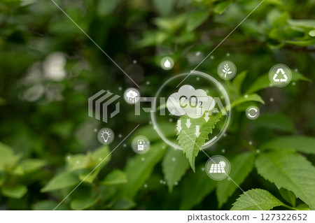 Carbon dioxide or CO2 is colorless gas. which inhaling this gas in large quantities. Leaf absorb dust and carbon dioxide. management clean air global. Leaves with cloud co2 icon. 127322652