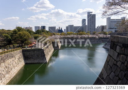The moat of Osaka Castle in spring (photographed in April 2025) The moat of Osaka Castle in spring (photographed in April 2025) 127323369