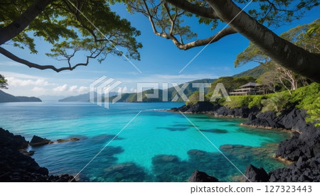 tropical beach cove with crystal-clear turquoise water 127323443