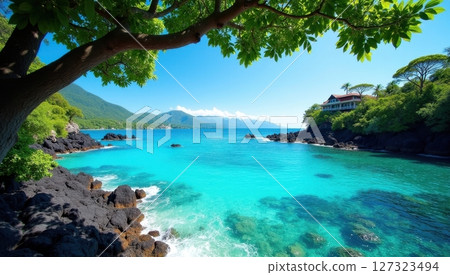 tropical beach cove with crystal-clear turquoise water 127323494