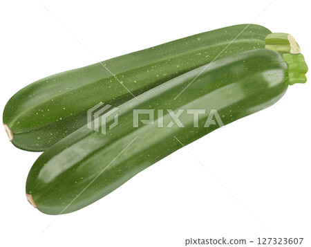 Two zucchinis lined up Two zucchinis lined up 127323607