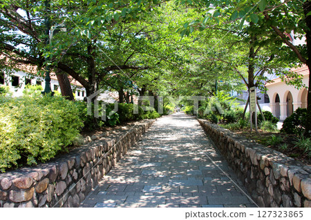 寶塚歌劇團與新綠花路 寶塚歌劇團與新綠花路 127323865