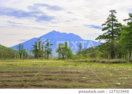 尾瀨初夏：從山花到龍宮，新綠盎然，臭菘盛開 127323948