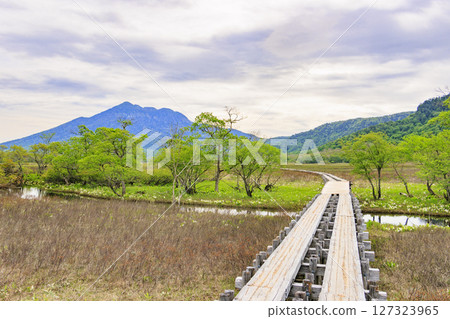 Early summer in Oze: Fresh greenery and blooming skunk cabbages from Yamanohana to Ryugu Early summer in Oze: Fresh greenery and blooming skunk cabbages from Yamanohana to Ryugu 127323965