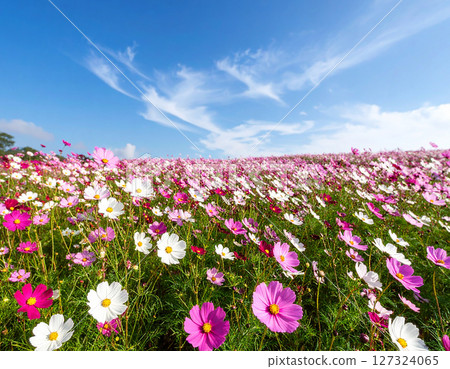 宇宙和藍天 宇宙和藍天 127324065