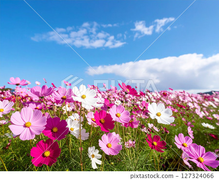 宇宙和藍天 127324066