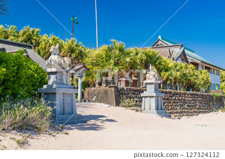 《Miyazaki Prefecture》Aoshima scenery and Aoshima Shrine 《Miyazaki Prefecture》Aoshima scenery and Aoshima Shrine 127324112