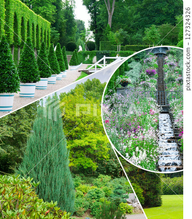 Beautiful garden with coniferous and deciduous trees. Collage. Mosaic pattern. Beautiful garden with coniferous and deciduous trees. Collage. Mosaic pattern. 127324326