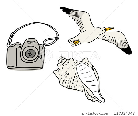 Vector illustration of a camera, flying seagull 127324348