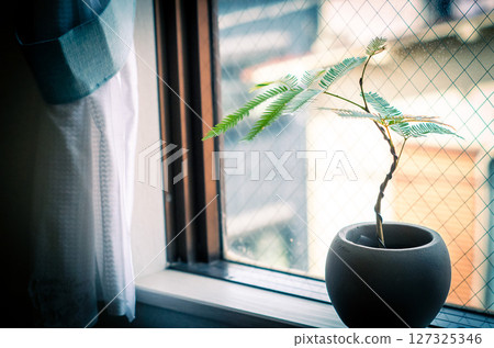 A modern Everfresh placed on a windowsill 127325346