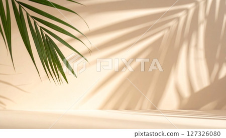 Palm Leaf Shadows on Beige Wall Background 127326080