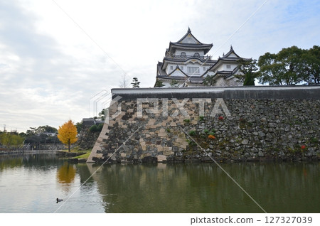 岸和田城（大阪縣岸和田市吉祥町） 127327039