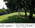 Park with lawn 127327447