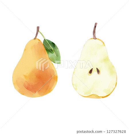 梨水彩風格手繪插畫橘色 127327628