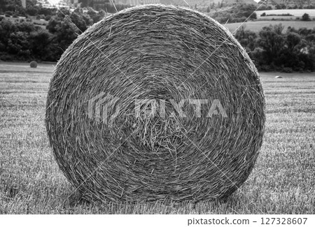Big bales  127328607