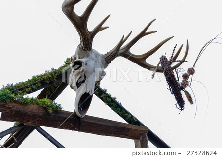 Deer skeleton with antlers on the roof of the house 127328624